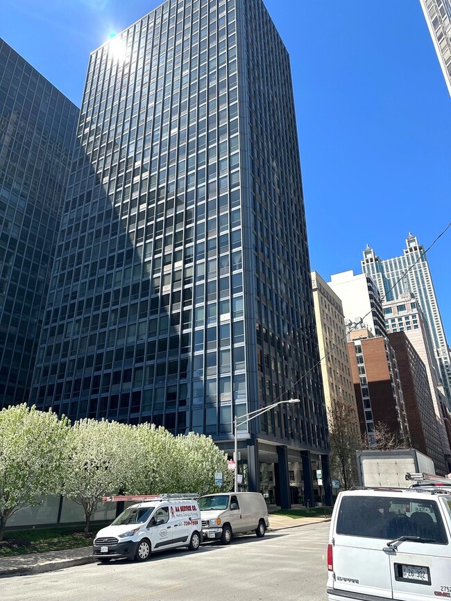Building Photo - 910 N Lake Shore Dr