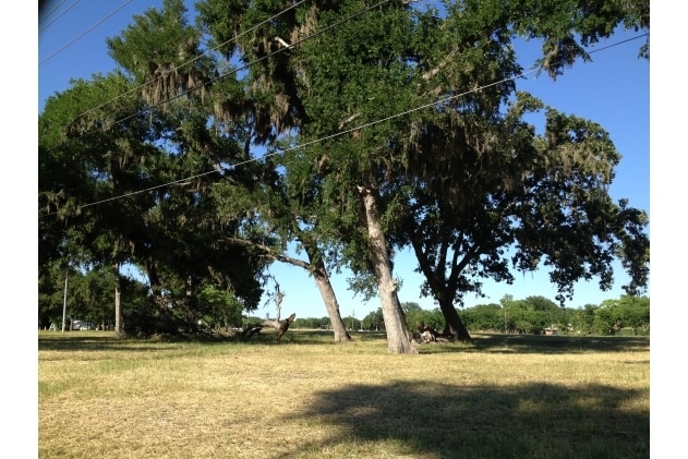 Braes Bayou Park - Glen Arbor Apartments