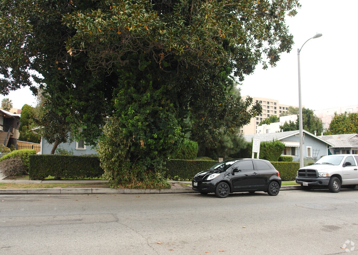 major tree obstruction. no side or rear access. - Lourine Court Apartments