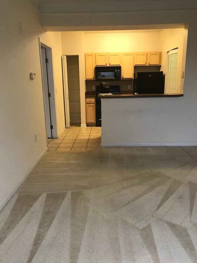 Kitchen - 12849 Madison Pointe Cir