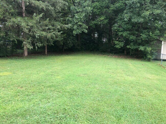 back yard - 3209 Forest Breeze Dr
