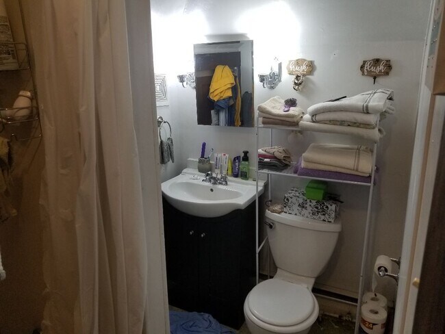 bathroom - 241 Grant Ave