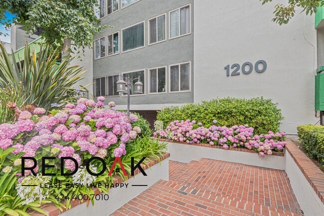 Building Photo - 1200 N Olive Dr