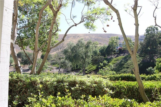 Foto del edificio - 25 Thorp Spring
