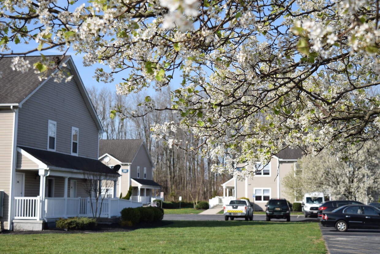 Primary Photo - 408 Seachase Ln