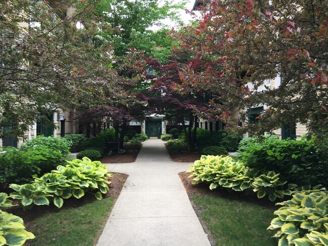 Front courtyard - 4318 Clarendon N Ave