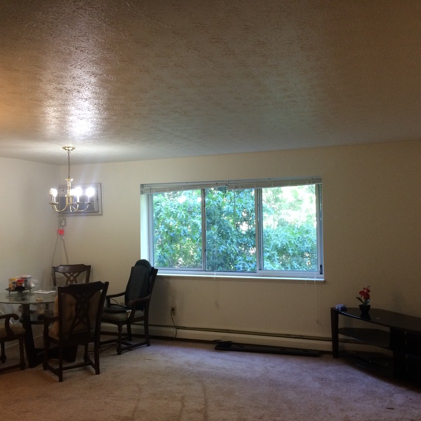 Living room view as you enter the building - 1101 Independence Ave