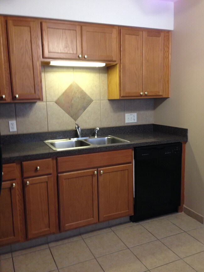 Tiled Backsplash & Dishwasher - 1317 Argo Ln