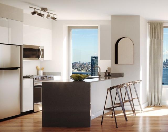 Foto del edificio - 2 bedroom in LONG ISLAND CITY NY 11101