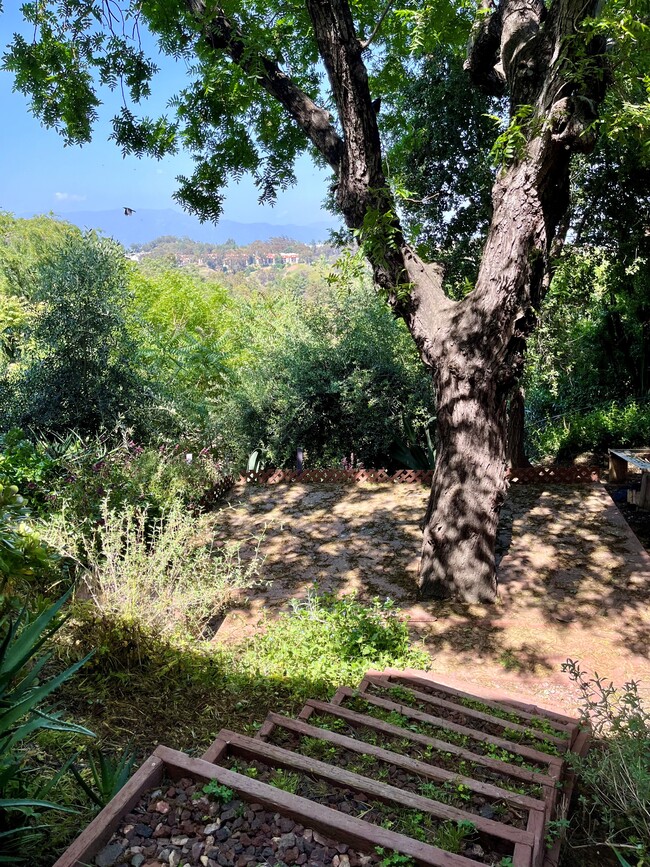 Building Photo - 1284 Montecito Dr
