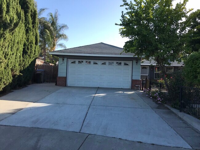 Building Photo - 1034 De Mattei Ct