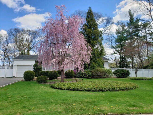 Foto del edificio - 23 Raven Dr