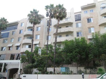 Primary Photo - 404 Shatto Pl