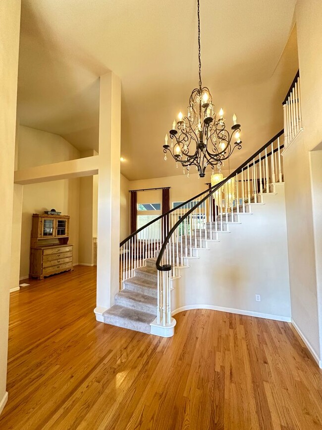 Building Photo - 6 Bed 4.5 Bath W/ Pool In Alamo