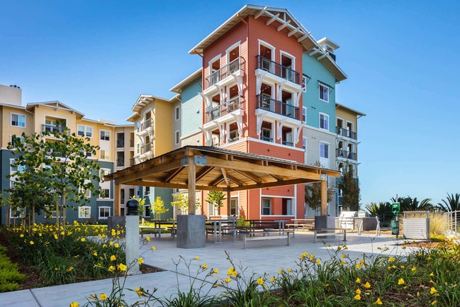 Blu Harbor by Windsor boasts expansive outdoor amenity space, with water views surrounding - Blu Harbor by Windsor