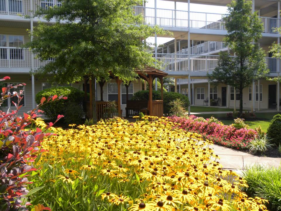 The Commons At Princess Anne Senior 55 Apartments Virginia Beach Va Apartments Com
