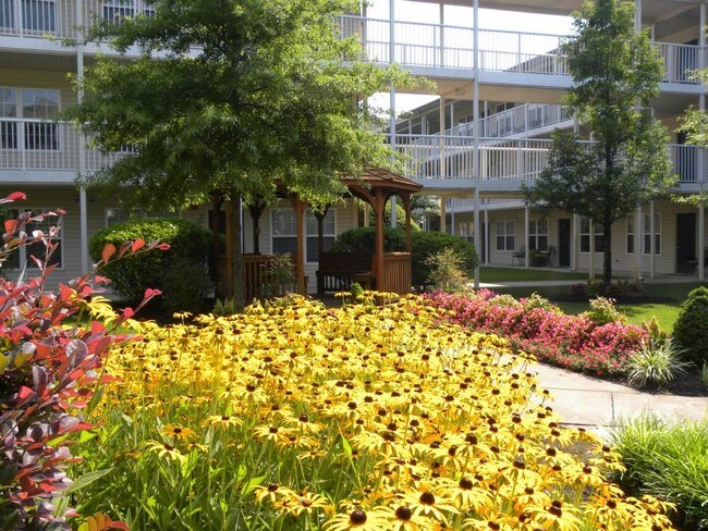 The Commons At Princess Anne Apartments Virginia Beach Va Primary Photo The Commons At Princess Anne