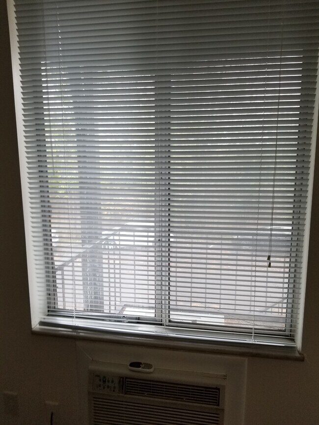 Ventanas enormes - 2601 Hillsboro Pike