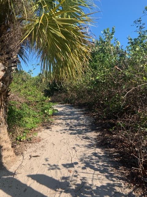 Building Photo - 2319 Tamarind Dr