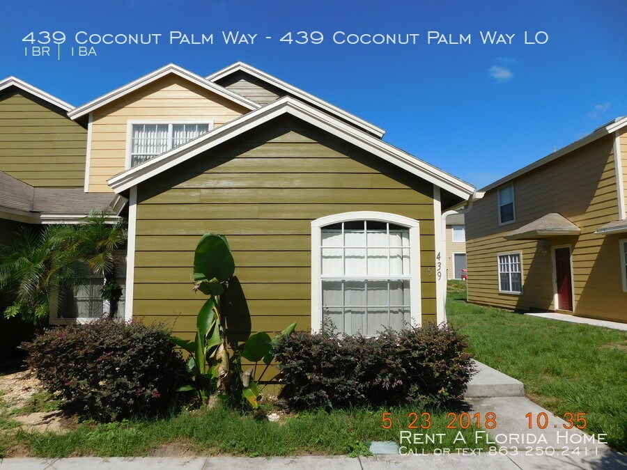 Primary Photo - 439 Coconut Palm Way