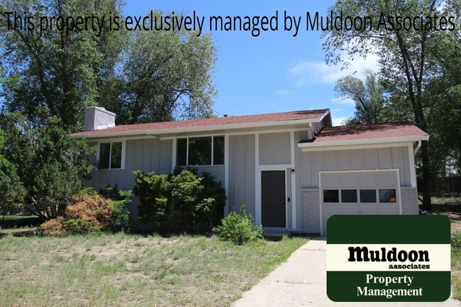 Building Photo - Lots Of New In this Home!!