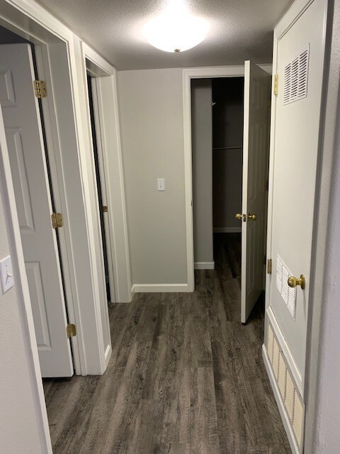 Building Photo - Remodel in the Beautiful white mountains