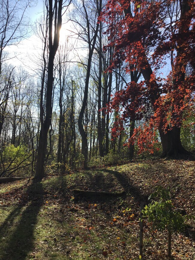 Foto del edificio - 55 Swallow Trl