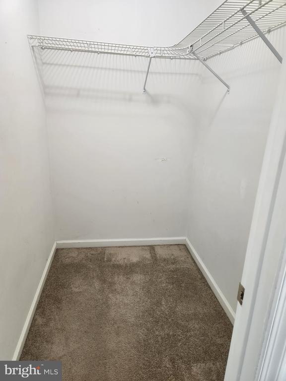 Foto del edificio - 513 E 11th Ave