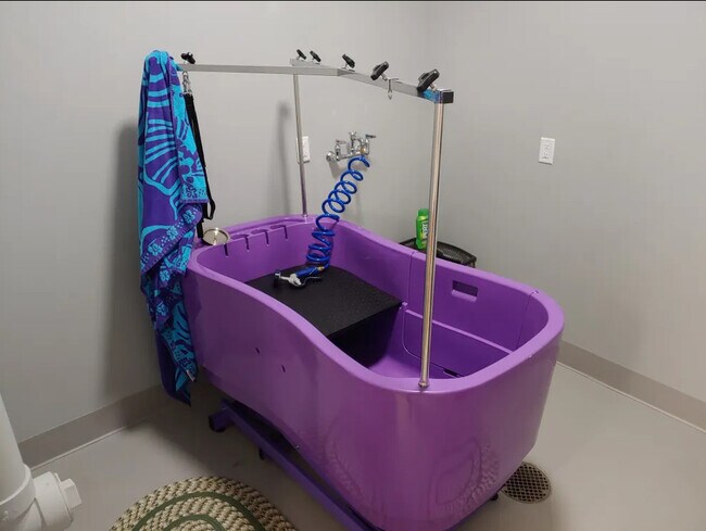 Lavado para perros - Rose Rent Lofts