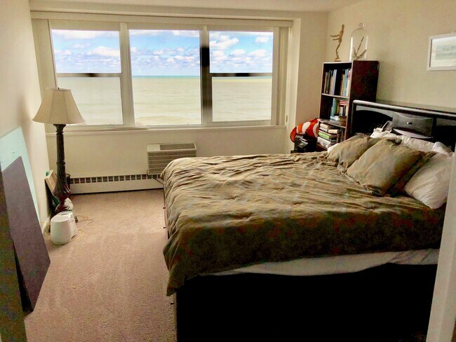 Foto del edificio - 1150 N Lake Shore Dr
