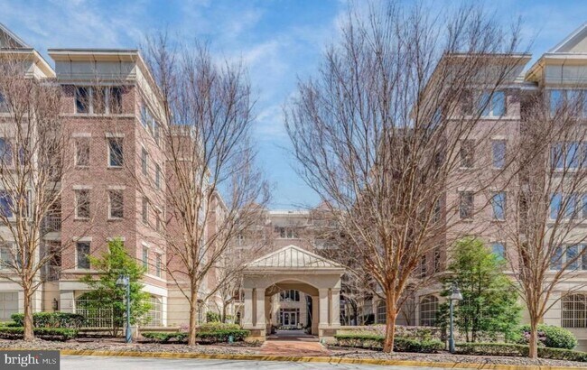 Foto del edificio - 10205 Wincopin Cir