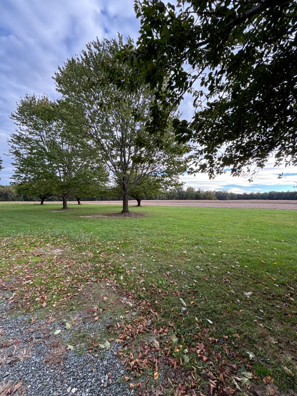 Foto del edificio - 9919 Augustine Herman Hwy