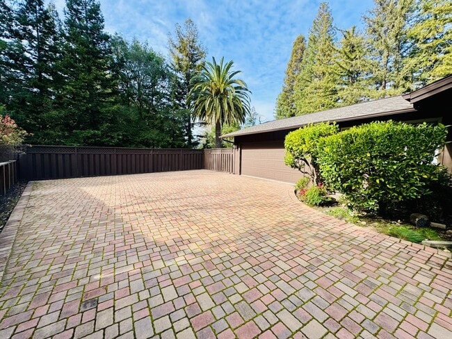 Foto del edificio - Spacious Single Level Home with Swimming Pool in Alamo Available Now!