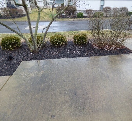 Building Photo - Gahanna Luxury Condo