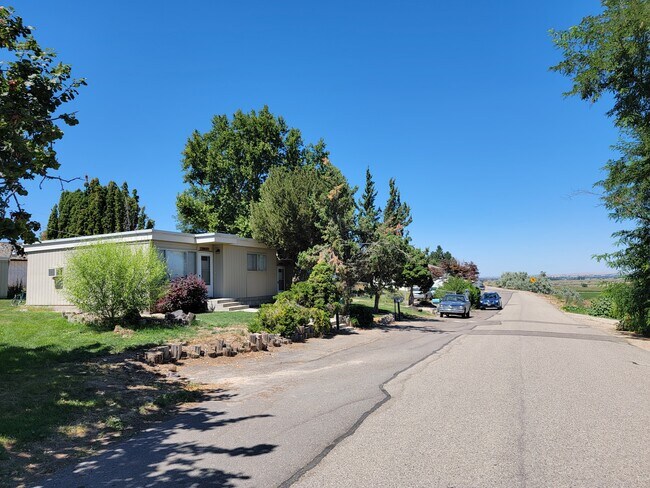 Triplex from street - 20667 Antrim Dr