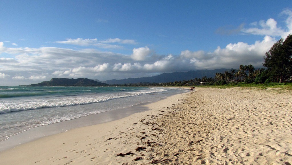 Primary Photo - 824 N Kalaheo Ave