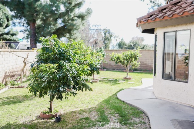 Foto del edificio - 183 S Starflower St