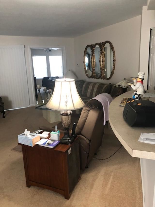 sala familiar - 270 S Linden Ct