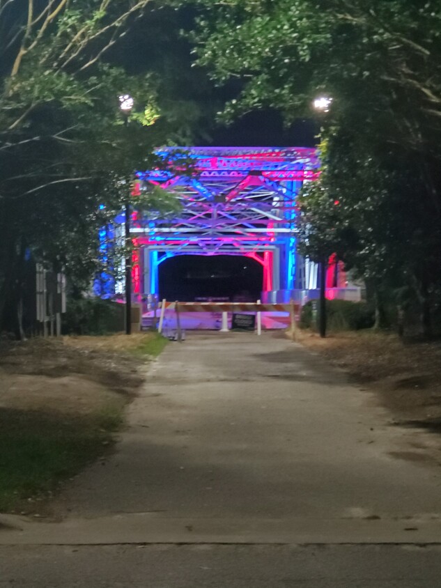 Bridge coming into the neighborhood - 119 Avery St