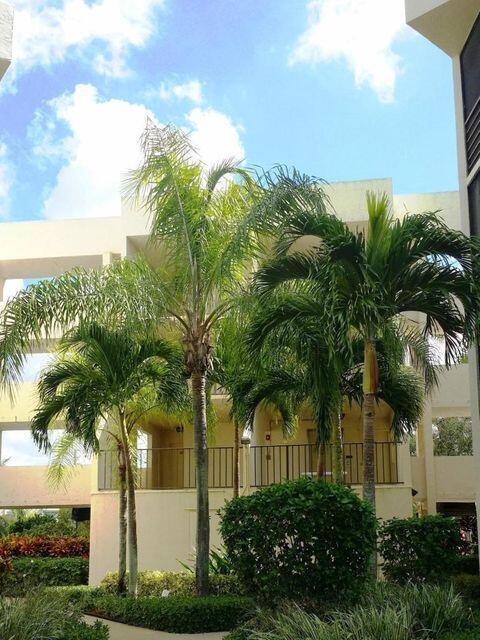 Primary Photo - 3138 Via Poinciana