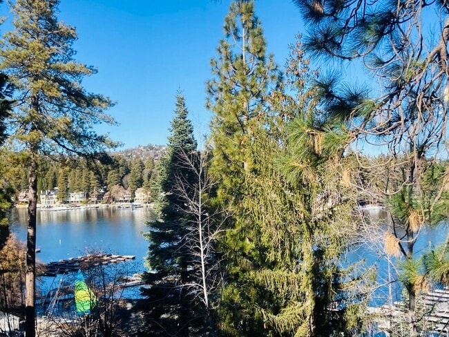Building Photo - Stunning Lake View Condo in the Village