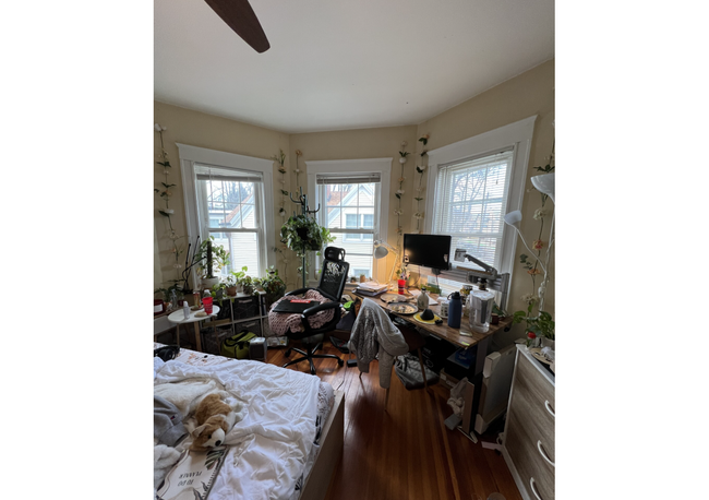 Building Photo - 332 Beacon St