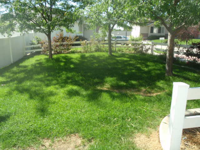 Foto del edificio - Beautiful North Ogden Home for Rent