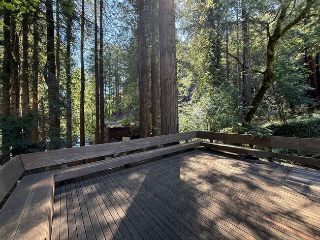 Foto del edificio - BEAUTIFUL THREE BEDROOM / TWO BATH MILL VALLEY HOME NEAR TOWN! SET IN THE REDWOODS