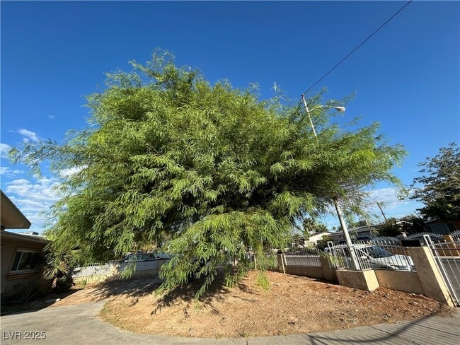 Building Photo - 4521 Swandale Ave