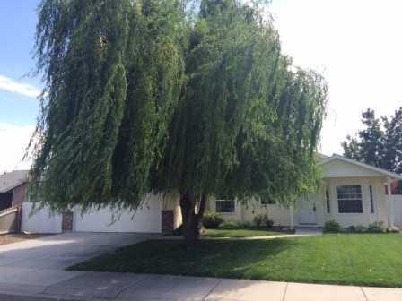 Primary Photo - 497 E Baldwin St