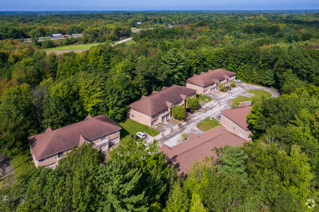 Aerial Photo - Snowshoe Estates