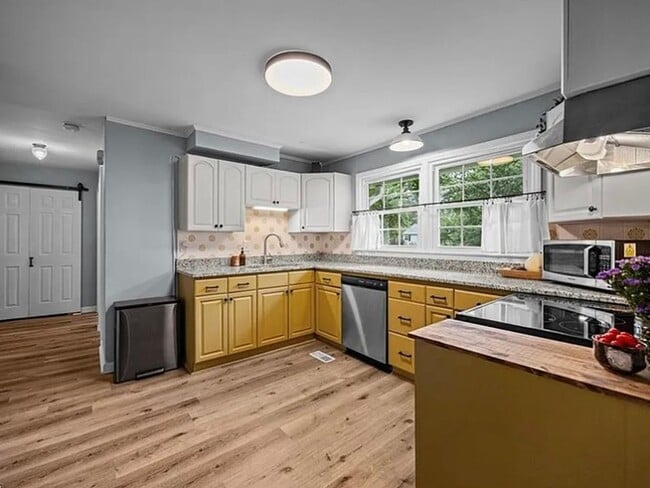 Building Photo - 4 bedroom in Kirkwood/Old Irving park!!