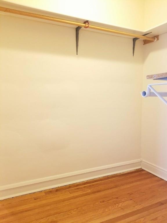 Foto principal - 1 bedroom in Chicago IL 60613