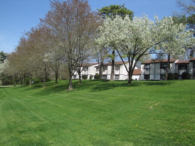 Foto del edificio - 59 Richmond Blvd